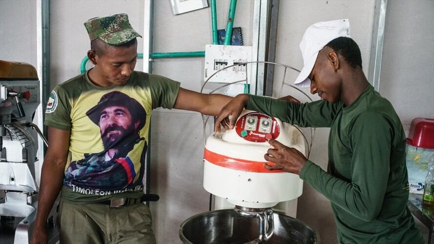 W radio conoció en primicia, el informe que la misión de la Onu en Colombia presentará el próximo 19 de julio en la sede de Nueva York ante el Consejo de Seguridad.. Foto: Colprensa