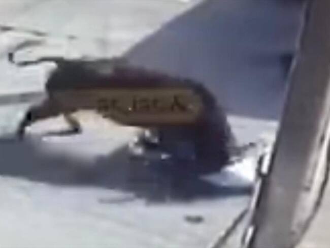 Toro embistió a varias personas y las dejó heridas en Chinchiná, Caldas. Foto: Suministrada por César Marín.