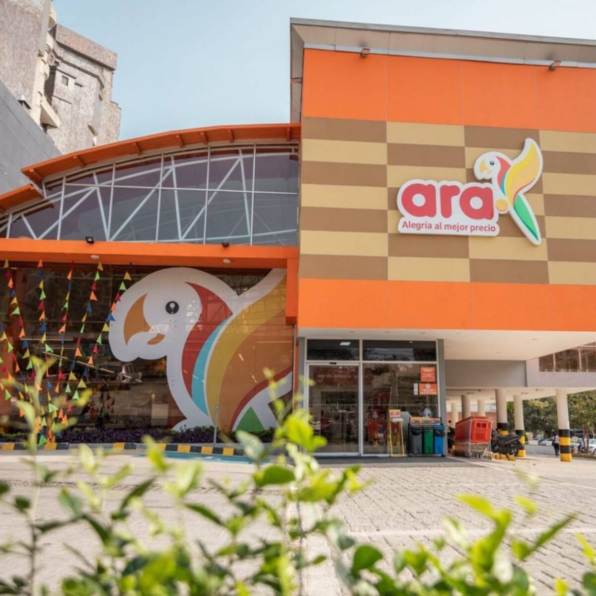 Tiendas Ara tiene nuevo gerente general para su operación en Colombia