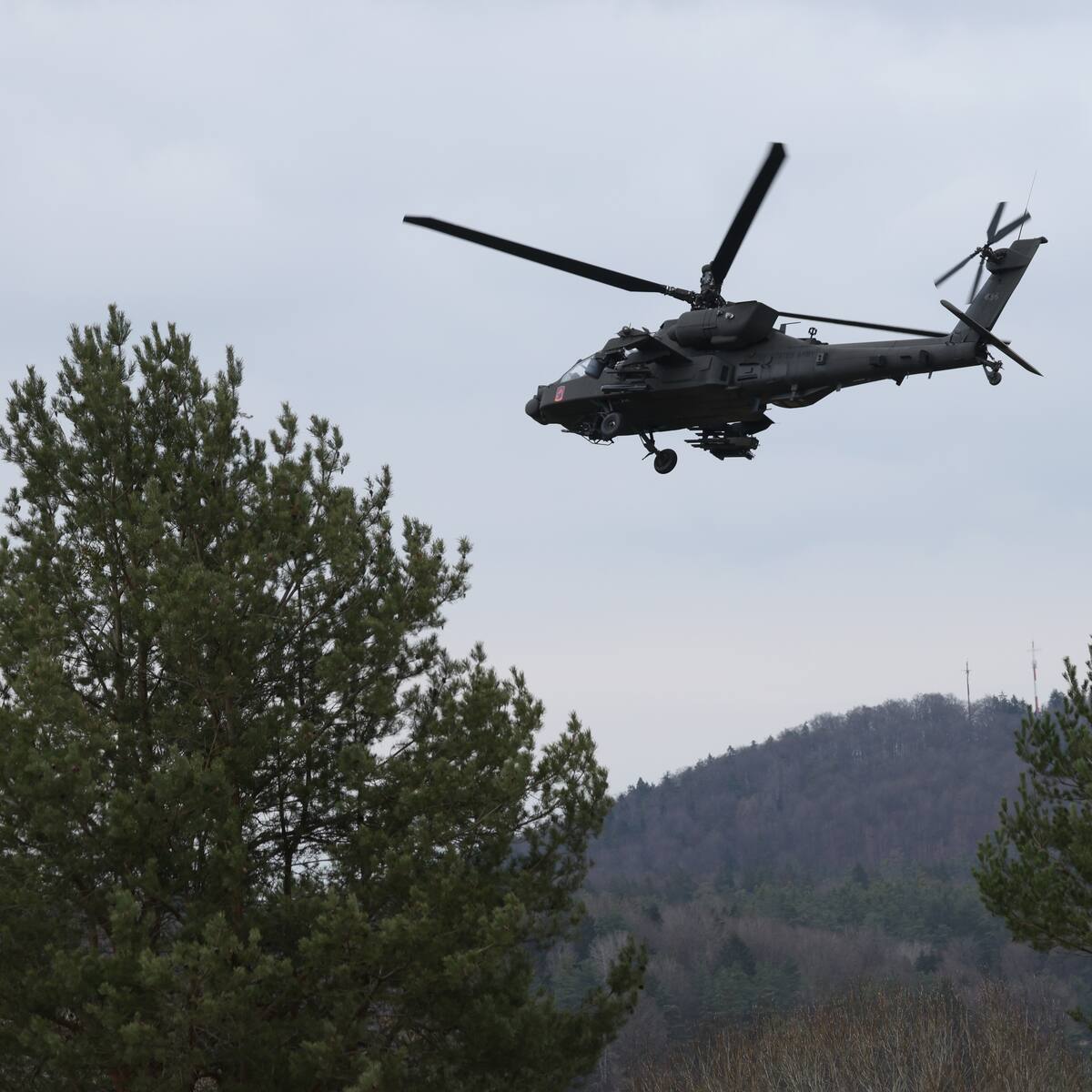 El Ejército buscará renovar su flota aérea de helicópteros