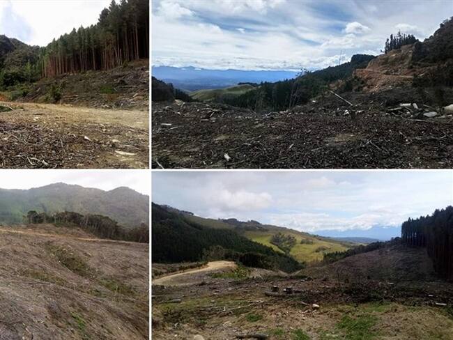 Panorama en el sector de Cerro Sombreros (Sotará) donde se ha vulnerado las rondas hídricas de quebradas y lagunas. Foto: Cortesía: Miguel Palechor