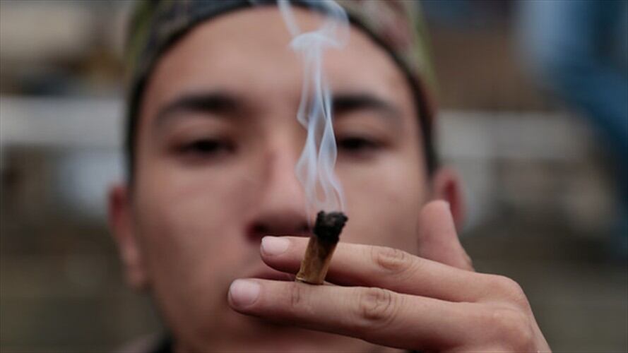 Consumo de cannabis. Foto: Colprensa