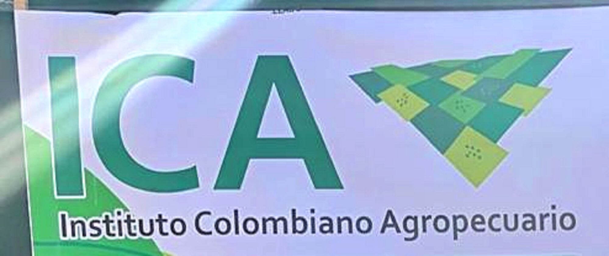 ICA logo. Foto: Twitter oficial ICA.