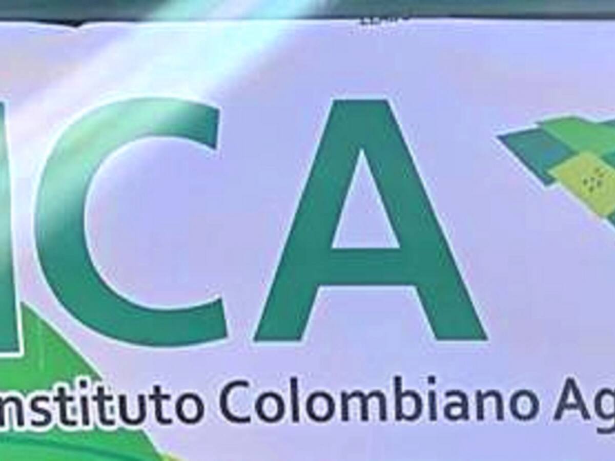 Gerente encargada del Instituto Colombiano Agropecuario renunció