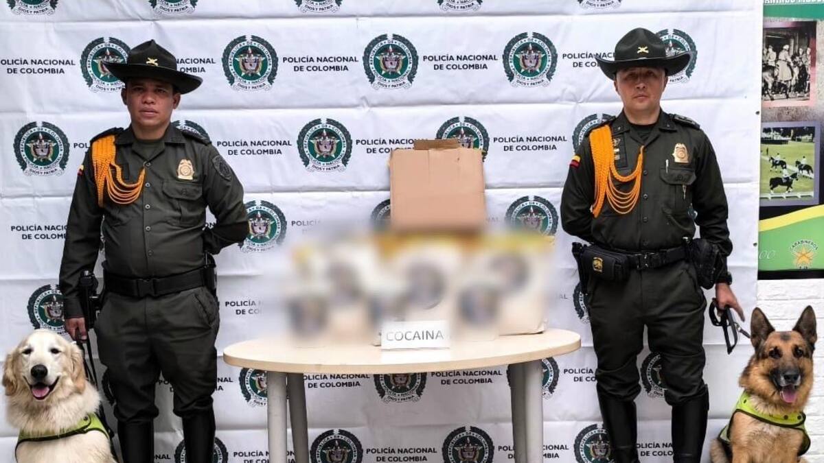 Incautan más de 10 kilos de cocaína en el Aeropuerto El Dorado: la droga iba con destino a Europa