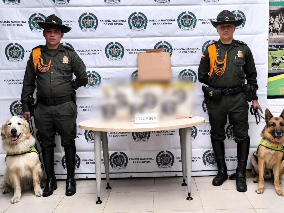 Incautan más de 10 kilos de cocaína en el Aeropuerto El Dorado: la droga iba con destino a Europa