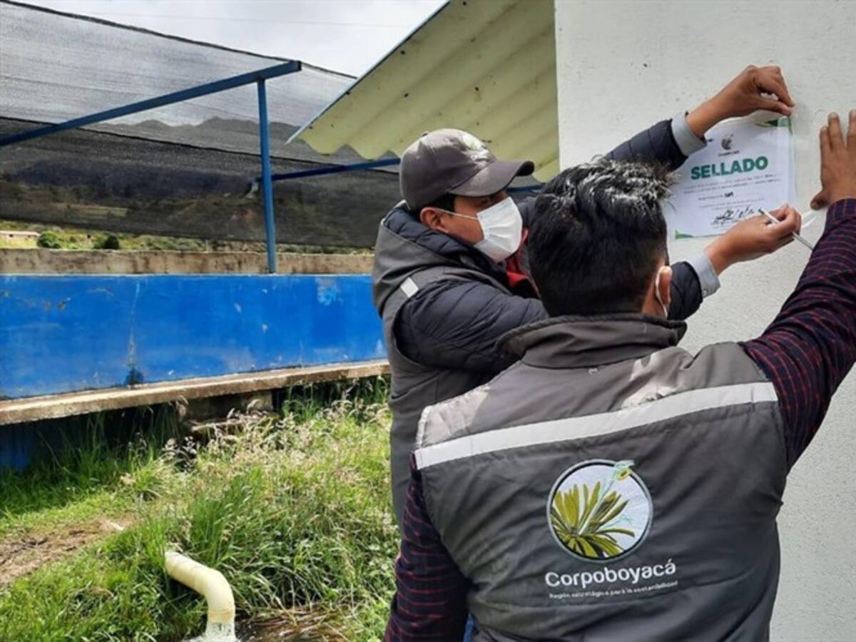 Por afectaciones ambientales, Corpoboyacá suspende actividades piscícolas