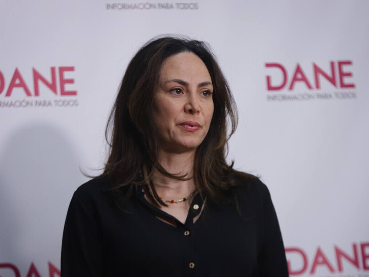 “Hubo un aumento de 831.000 nuevos ocupados”: directora del Dane sobre cifras de desempleo