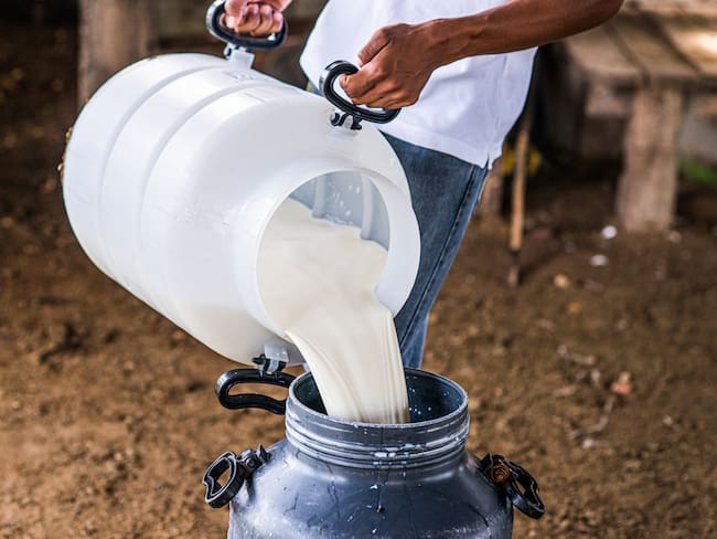 Worker depositing cow&#039;s milk in a gallon.