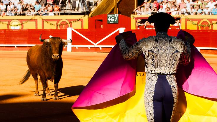 Sigue el pulso por proyecto de ley que prohíbe peleas de gallos y corridas de toros