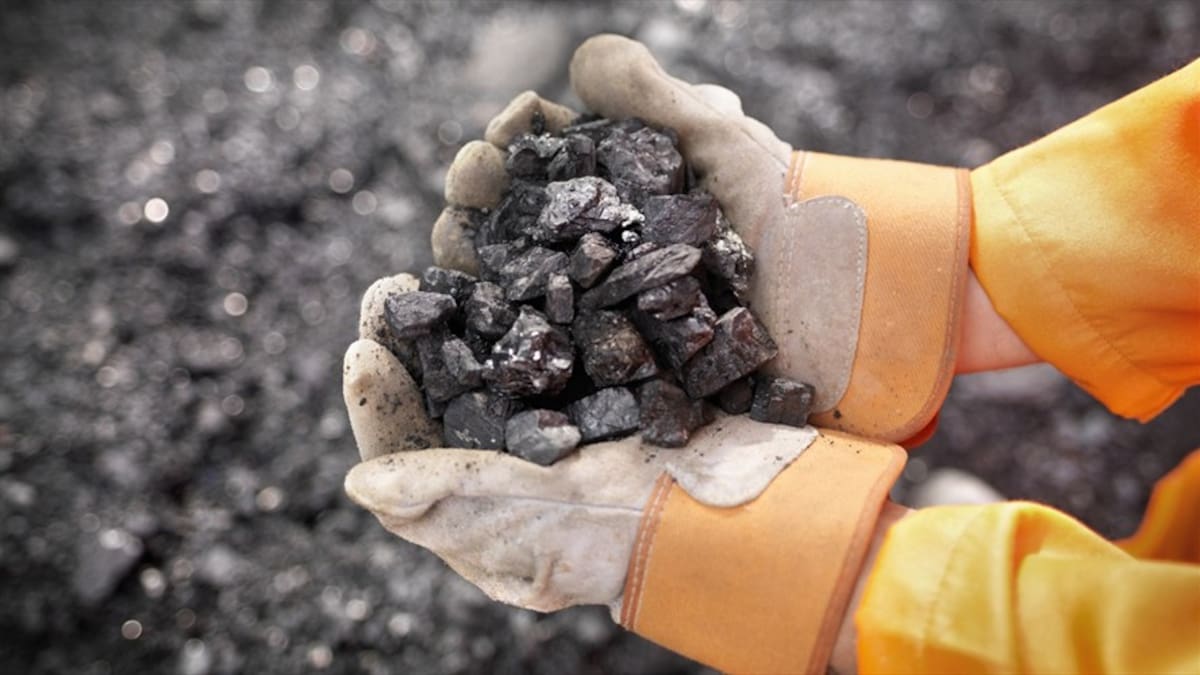 Estado no deberá indemnizar a minera de carbón Vale Coal por reasentamiento de campesinos