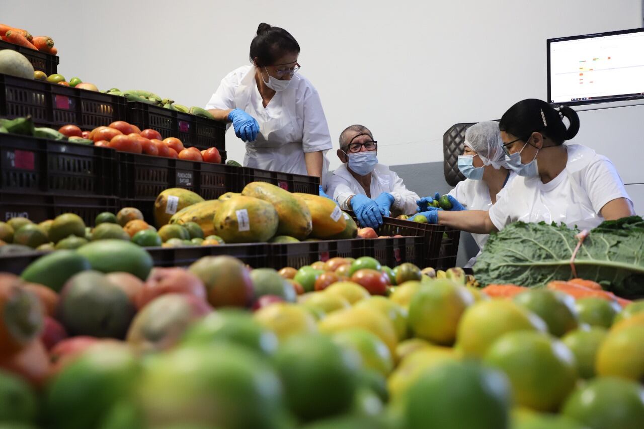 Banco de Alimentos. Foto: Cortesía