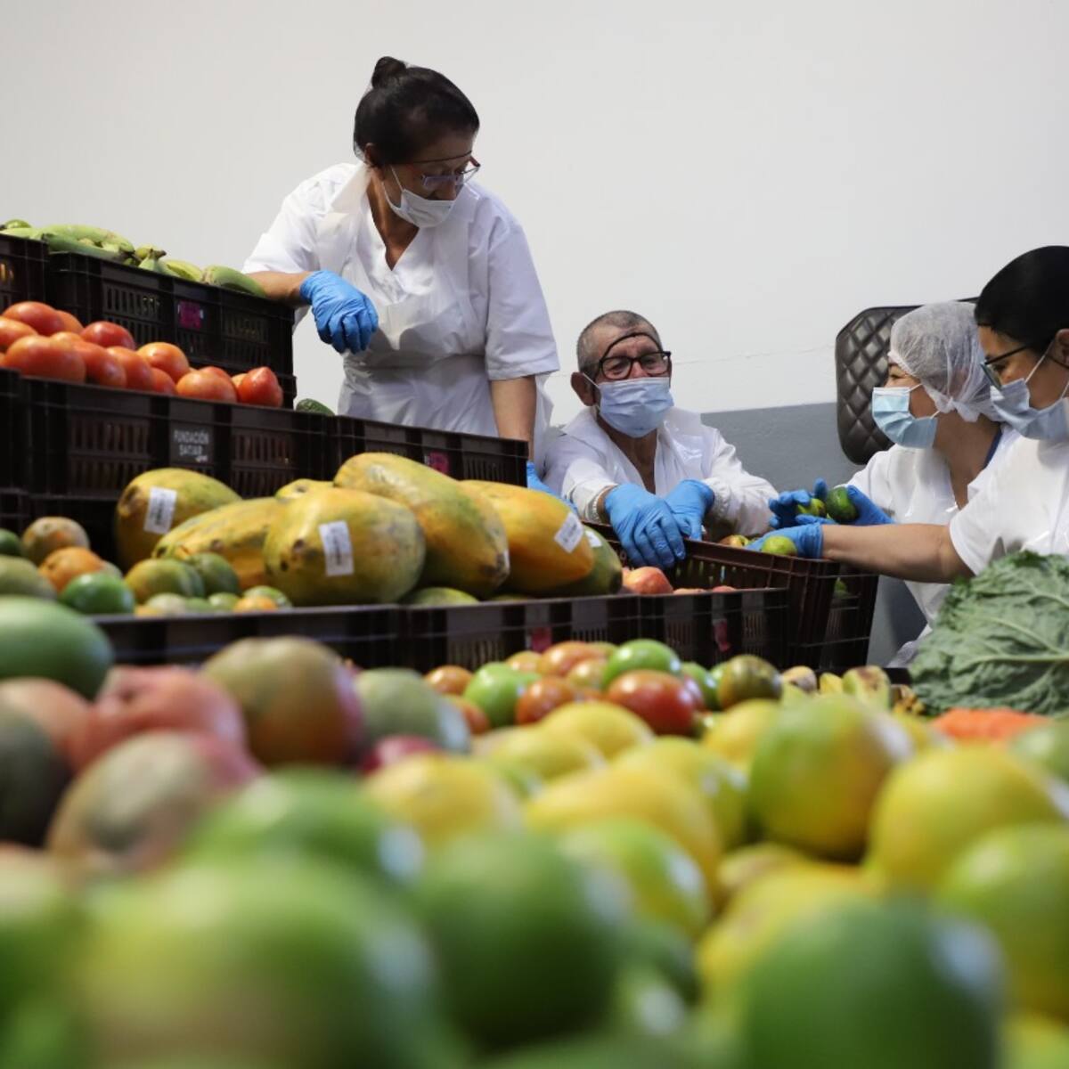 Banco de Alimentos de Bogotá entregó más de 20 millones de kilos de productos en el país en 2024