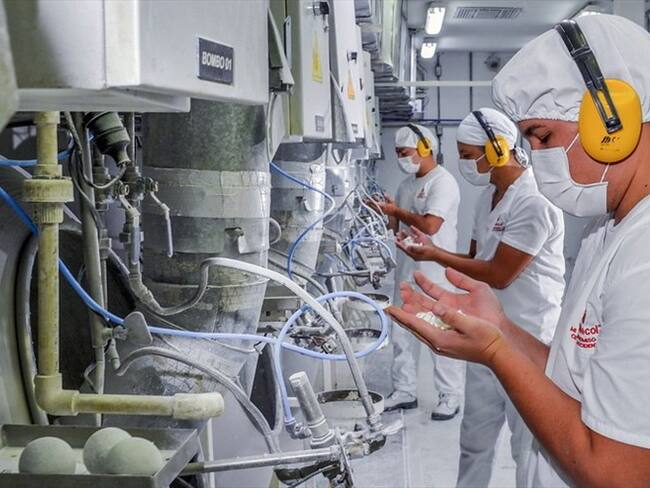 Imagen de referencia. Foto: Colprensa