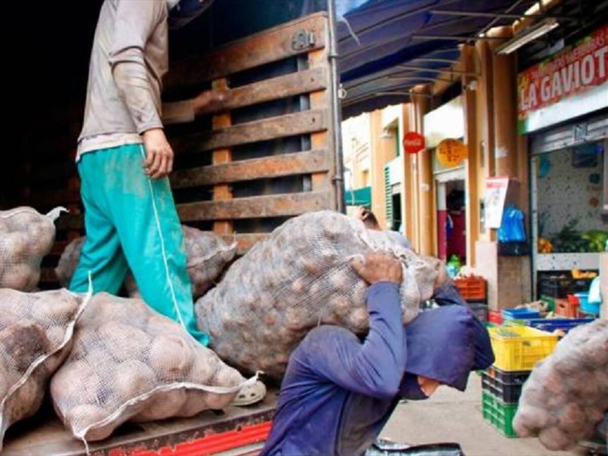 "Papatón" en el área metropolitana de Bucaramanga