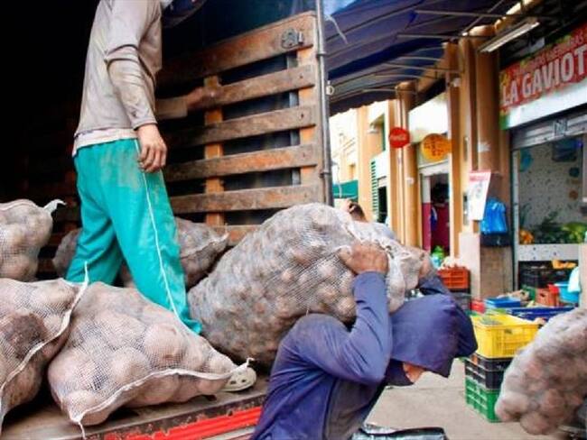 papatón en Bucaramanga. Foto: Suministrada.