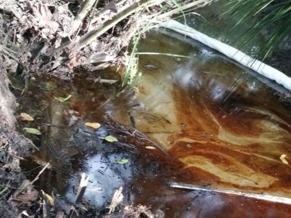 Daño ambiental por perforaciones ilícitas en Puerto Wilches