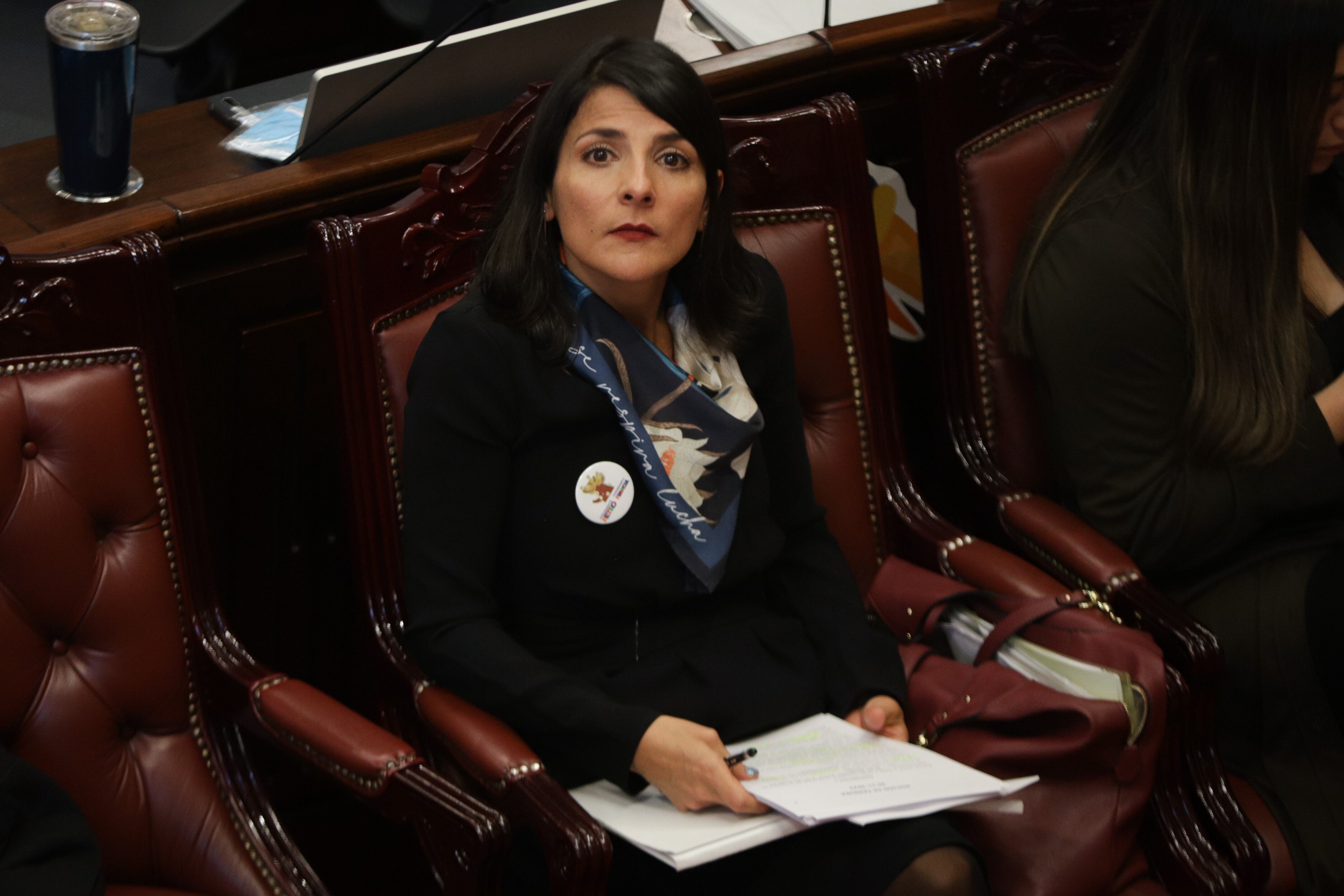 Ministra de Minas y Energía, Irene Vélez. Foto: (Colprensa - Álvaro Tavera)
