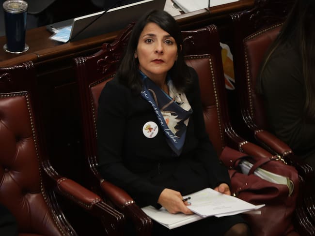 Ministra de Minas y Energía, Irene Vélez. Foto: (Colprensa - Álvaro Tavera)