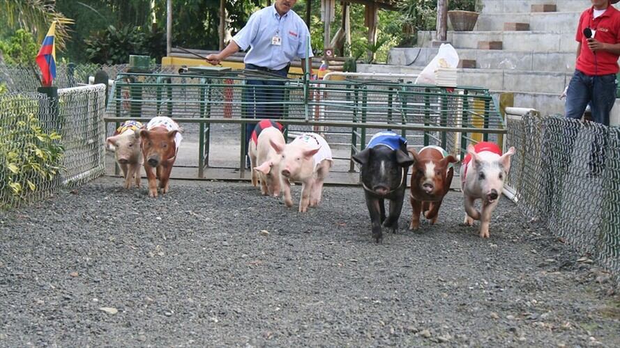 Para ayudar a sus empleados, Panaca decidió entregarles sus activos. Foto: Colprensa