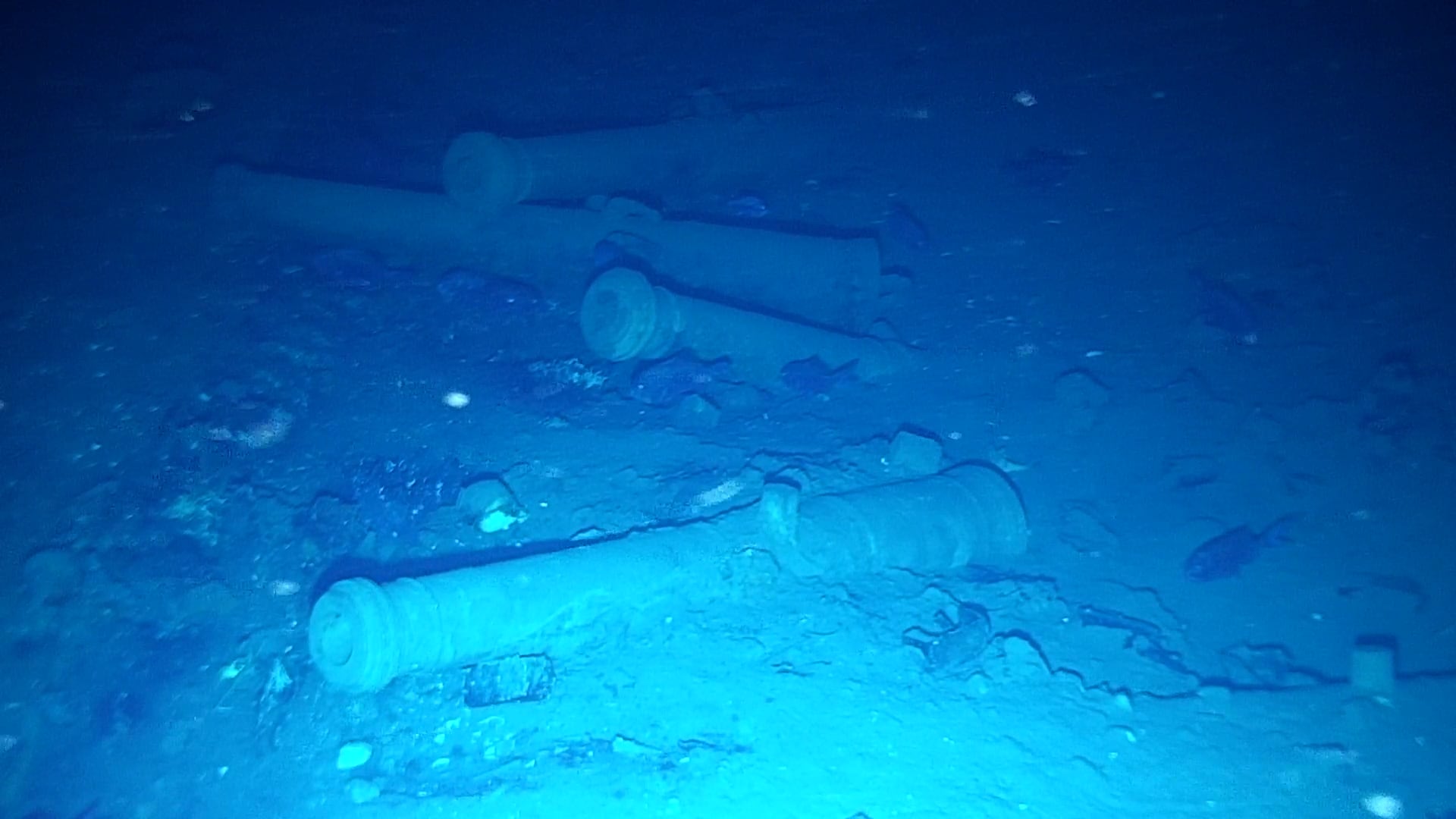 Más de 1.100 objetos han sido identificados en expedición del Galeón San José. Foto: Colprensa.