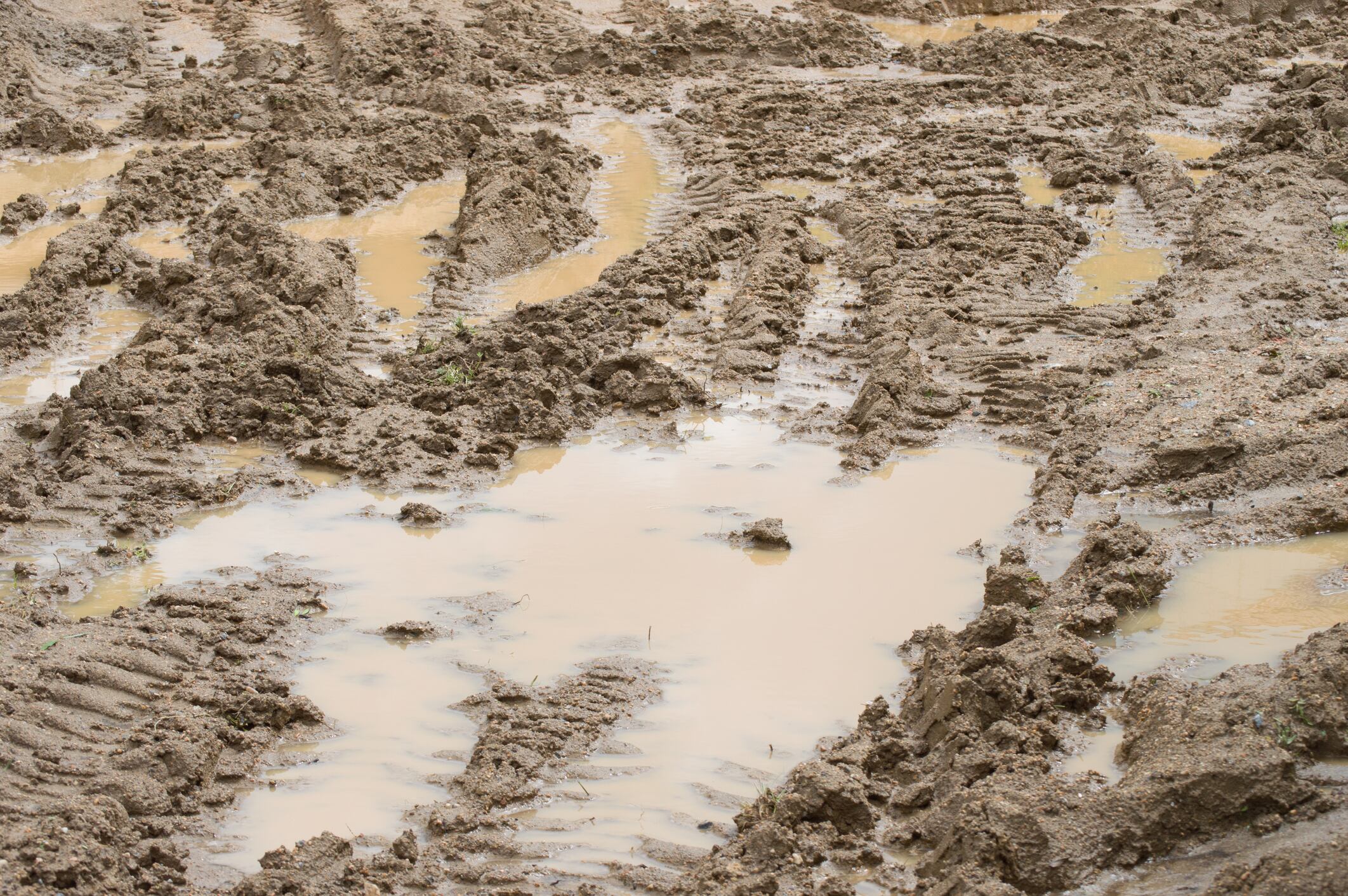 Foto de referencia de una trocha. Foto: Getty Images.