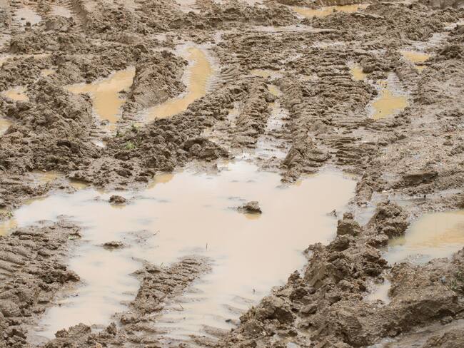 Foto de referencia de una trocha. Foto: Getty Images.