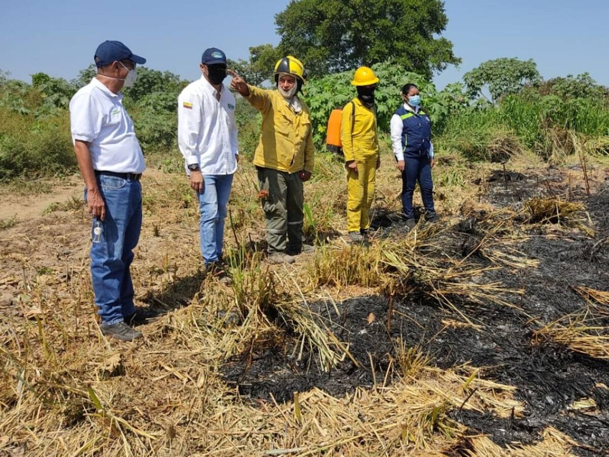 60 hectáreas de terreno se vieron afectadas en un incendio forestal en Aracataca