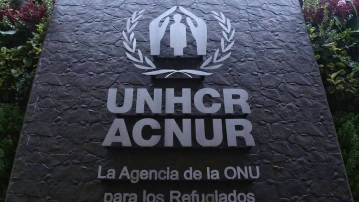 “No hubo de otra que suspender esos proyectos”: coordinadora de la ONU sobre ACNUR en Colombia