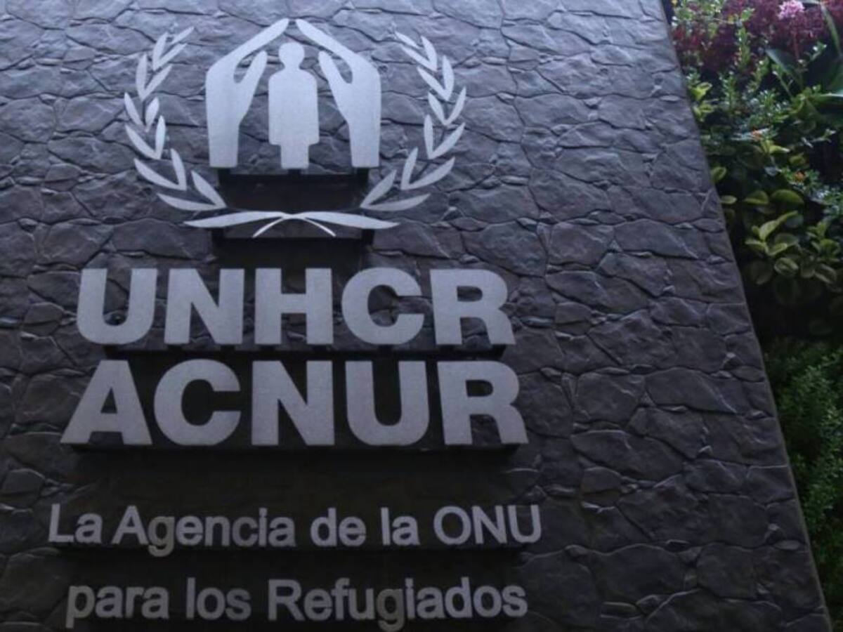 “No hubo de otra que suspender esos proyectos”: coordinadora de la ONU sobre ACNUR en Colombia