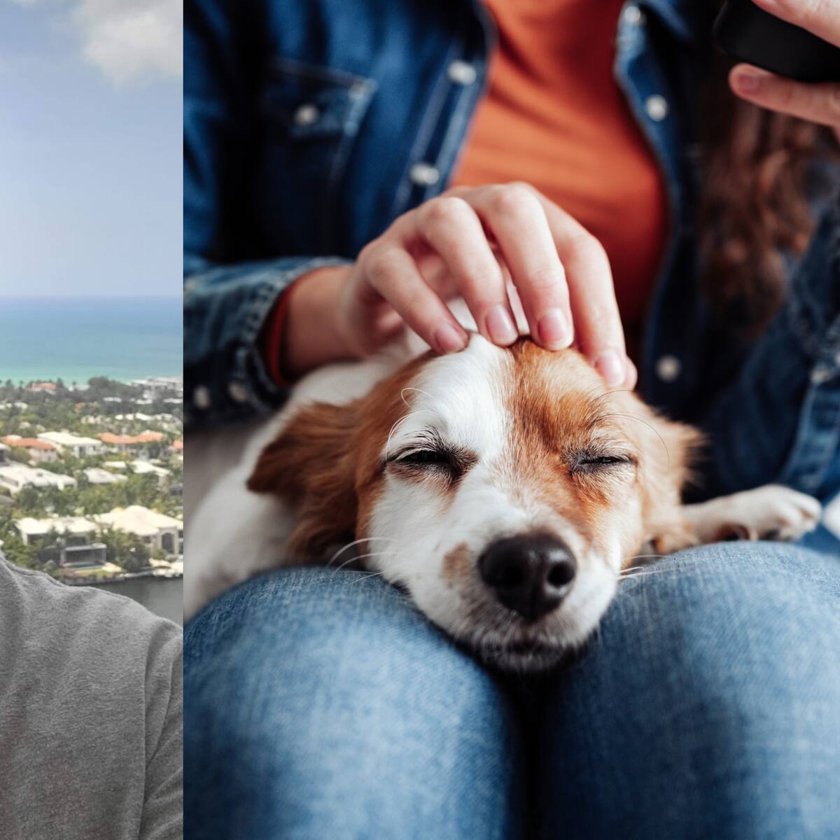Terapia asistida con animales: ¿a qué tipo de pacientes beneficia?