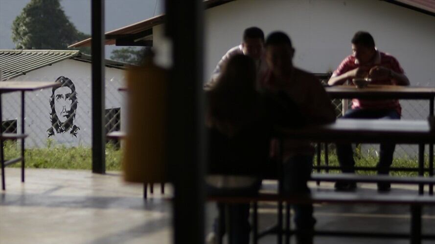 Gobierno extendió asignación mensual a excombatientes de las Farc. Foto: Colprensa