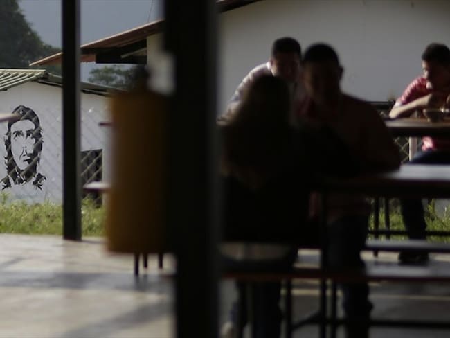 Gobierno extendió asignación mensual a excombatientes de las Farc. Foto: Colprensa