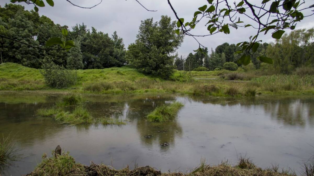 No estamos tocando las fuentes hídricas: Lagos de Torca sobre reserva Van der Hammen