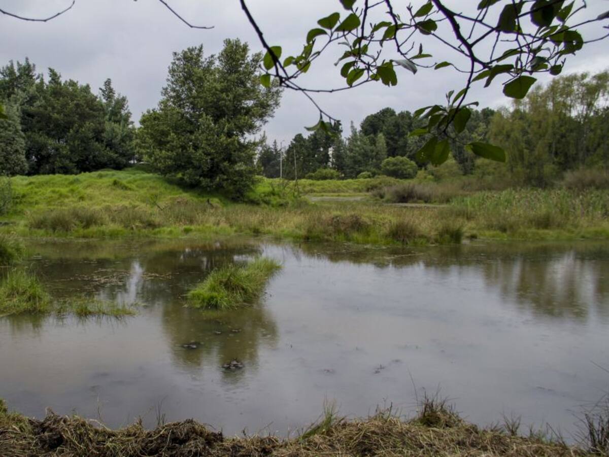 No estamos tocando las fuentes hídricas: Lagos de Torca sobre reserva Van der Hammen