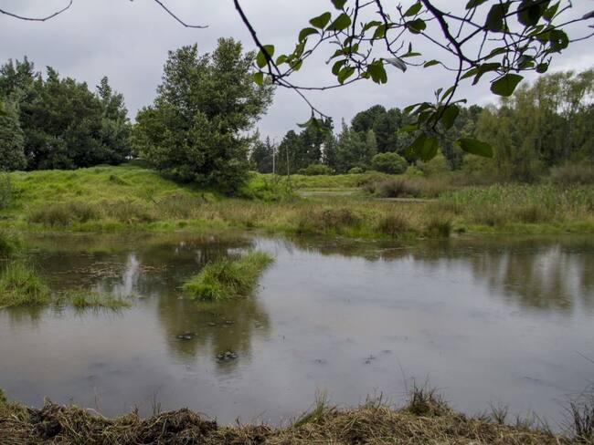 No estamos tocando las fuentes hídricas: Lagos de Torca sobre reserva Van der Hammen
