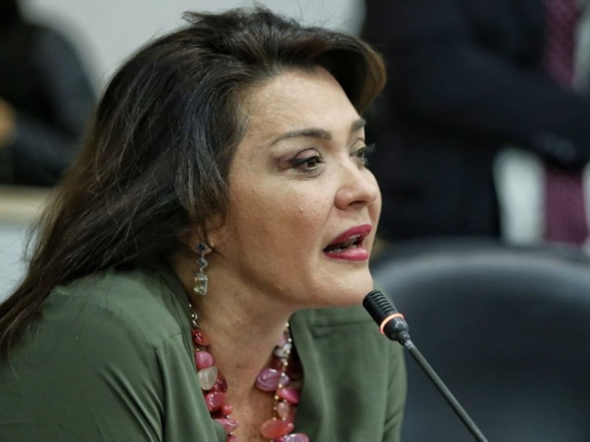 Senadora celebra decisión de la Fiscalía en caso de Alison Meléndez