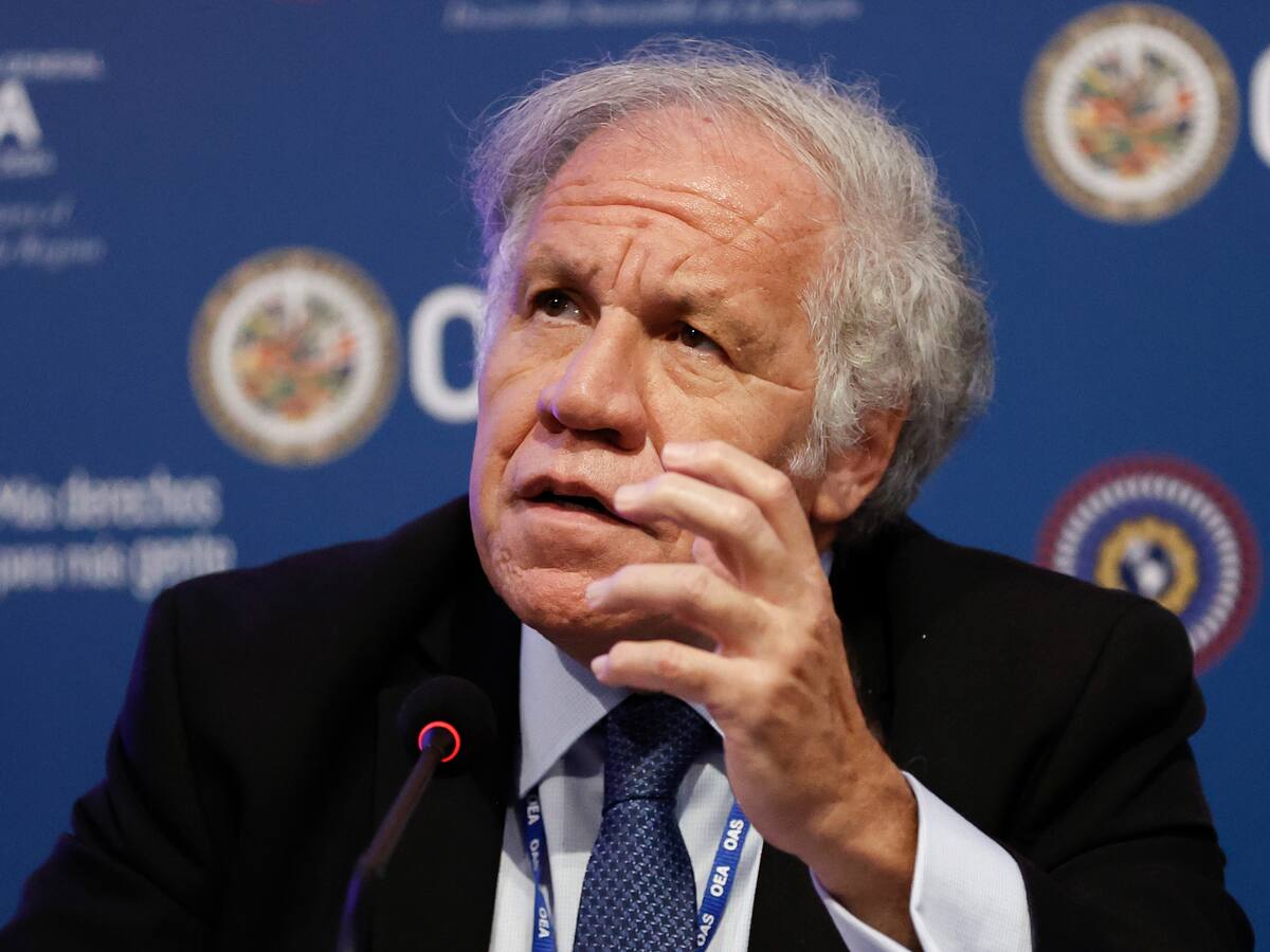 Elecciones Venezuela: OEA pide reconocer actas de oposición y que Maduro acepte su derrota