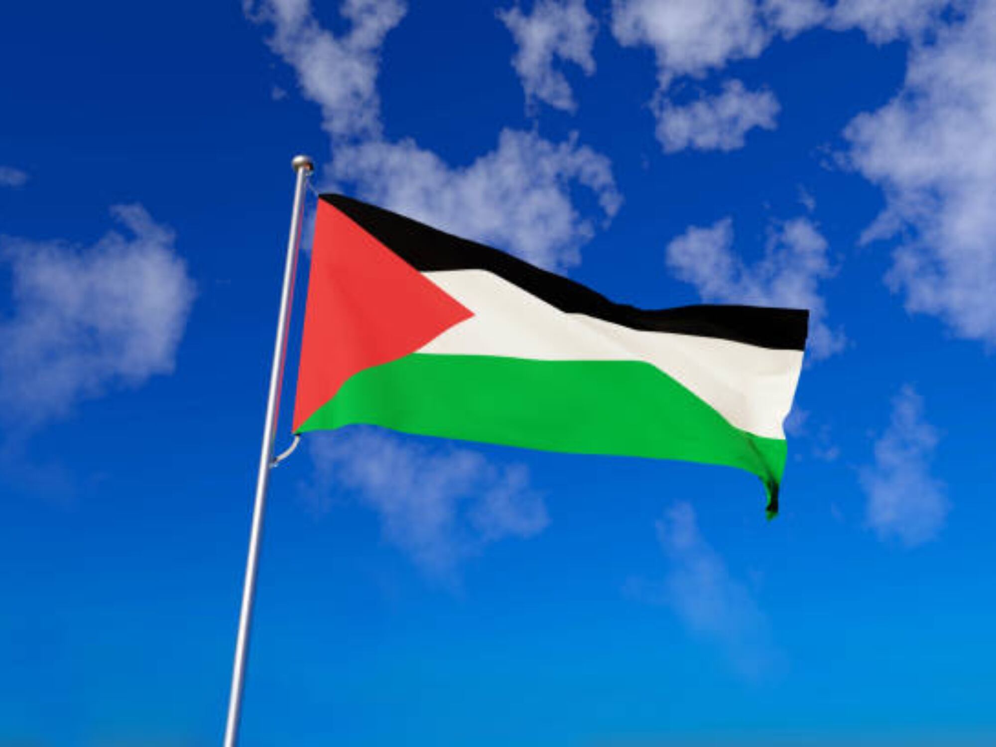 Bandera de Palestina. Foto: Getty Images