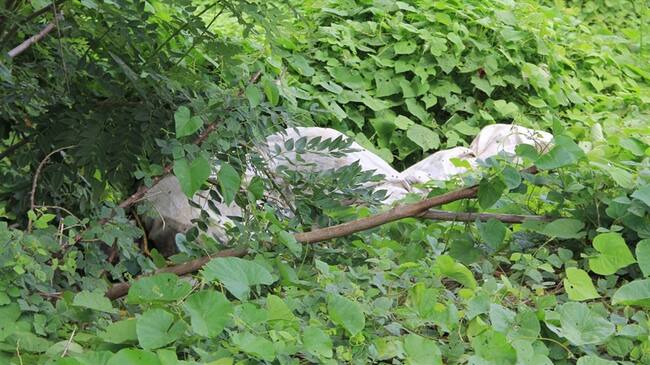 MedicinaLegal halla cuerpo sin vida. Foto: Colprensa