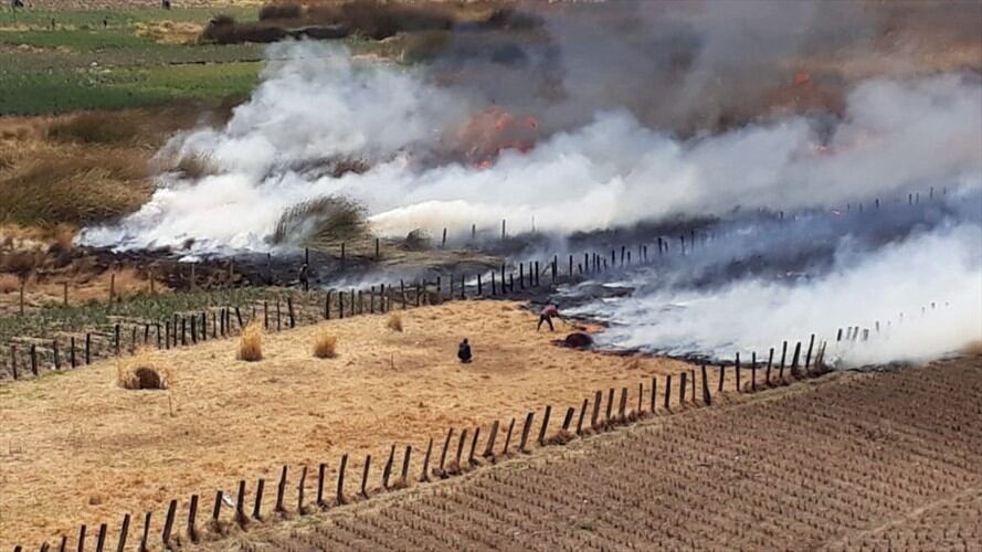 El incendio acabo con dos hectáreas afectado varias especies nativas en la zona.. Foto: Foto Cortesía