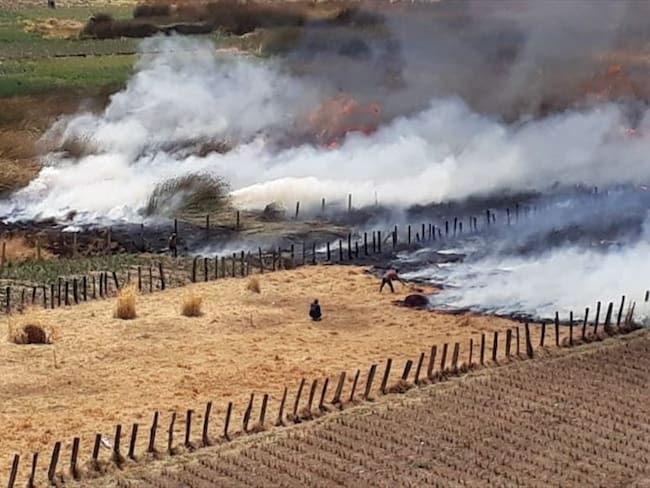 El incendio acabo con dos hectáreas afectado varias especies nativas en la zona.. Foto: Foto Cortesía