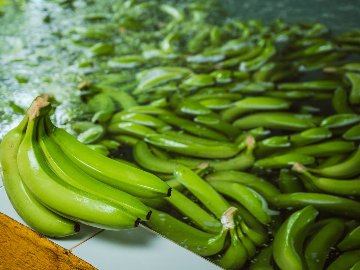 Bananeros hacen un llamado al Gobierno y a las autoridades regionales por amenazas