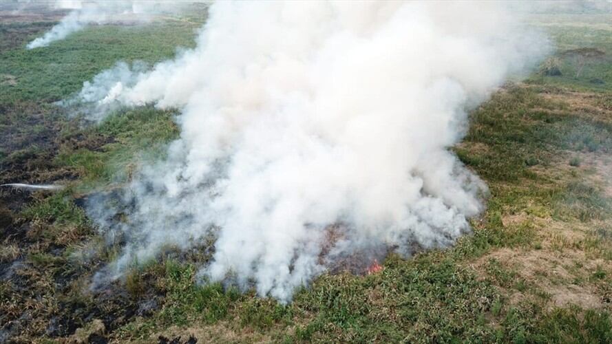 Más de 70 hectáreas de humedales fueron consumidas por grave incendio en Córdoba. Foto: Cortesía