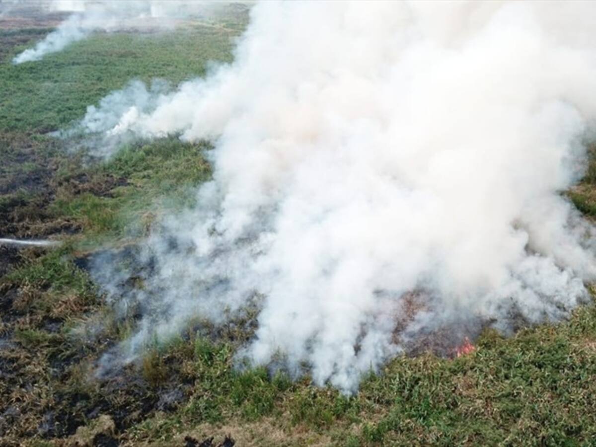 Más de 70 hectáreas de humedales fueron consumidas por grave incendio en Córdoba