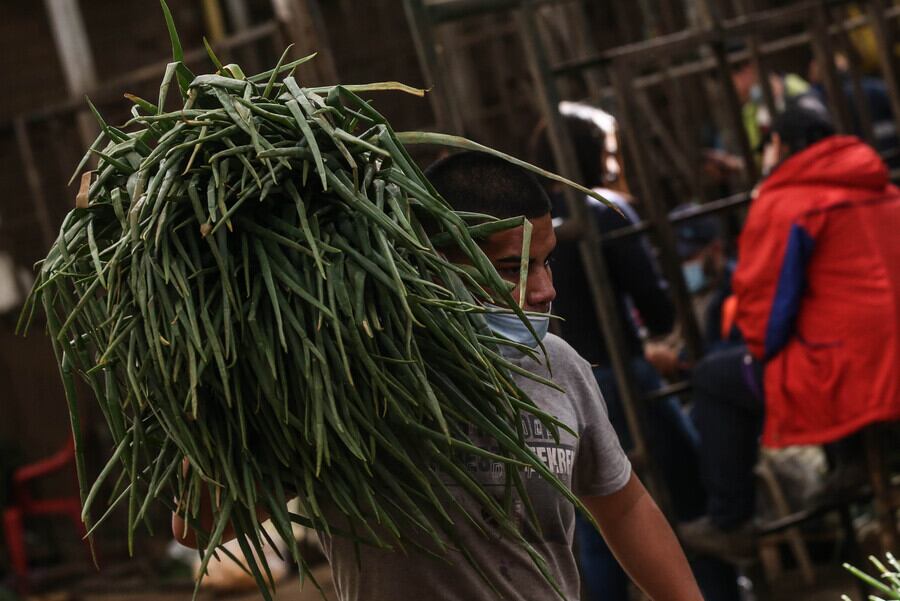 Imagen de referencia de Corabastos. Foto: Colprensa.