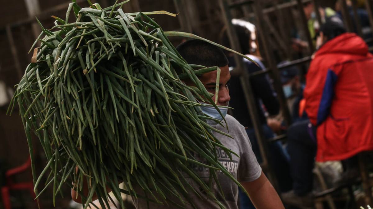 Denuncian que niños venezolanos son usados como ‘coteros’ en Corabastos