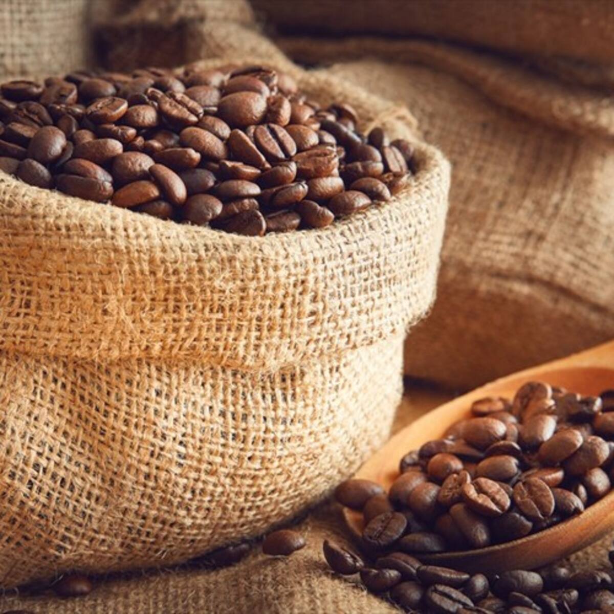 En agosto la producción de café aumentó, mientras sus exportaciones cayeron de nuevo
