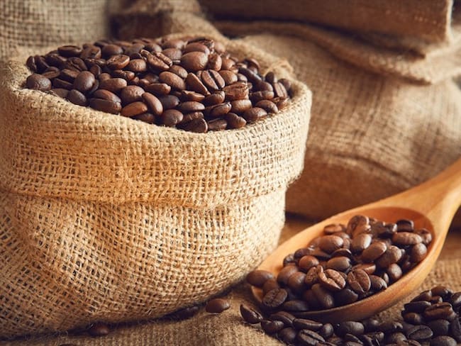 La producción del grano de café en agosto cayó un 3% en comparación con el mismo mes del año pasado. Foto: Getty Images / KUBRA CAVUS