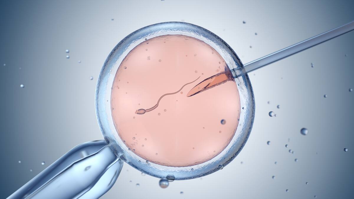 Clínicas de fertilidad de Alabama, en vilo por la decisión de considerar a embriones niños